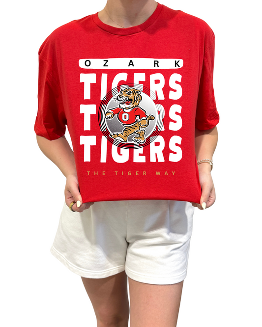 Vintage Ozark Tigers T
